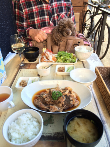 二子玉川の和食屋さんでランチ 代々木上原 代々木公園でとっておきの賃貸物件ならハビタット