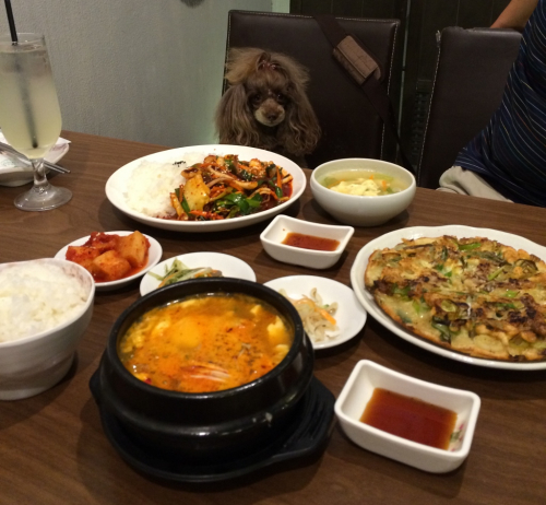 またまた 韓国料理屋さんへ 代々木上原 代々木公園でとっておきの賃貸物件ならハビタット