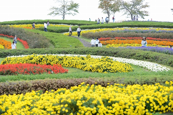 奈良県イベント情報 馬見フラワーフェスタ 奈良県の賃貸なら 賃貸のマサキ