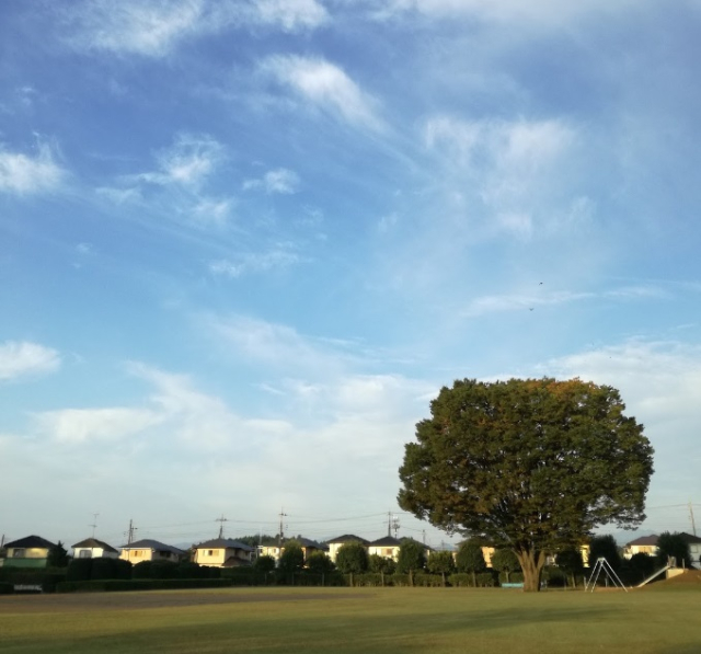 西武地区自由広場まで、約639m