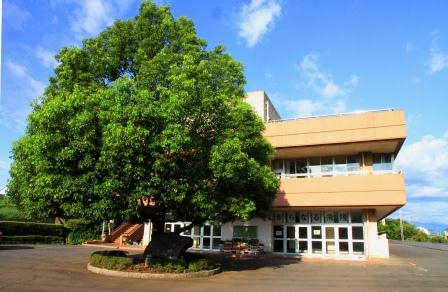 狭山市立中央中学校まで、約496m