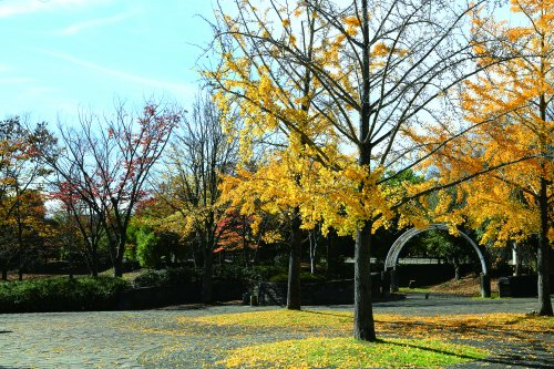 見晴らし公園まで、約258m