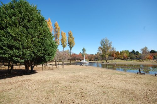 入間彩の森公園まで、約804m