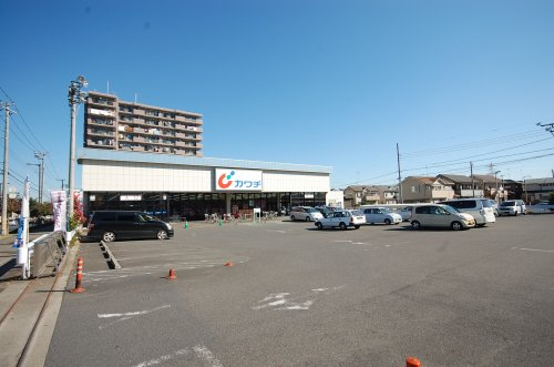カワチ薬品 入間店まで、約1089m