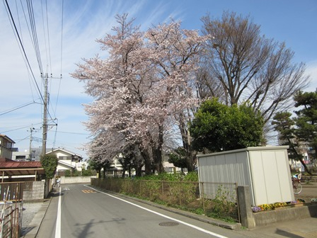 中原公園まで、約824m