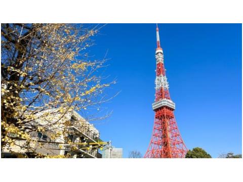 東京で行ってみたい場所