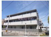 D-room南福岡参番館202