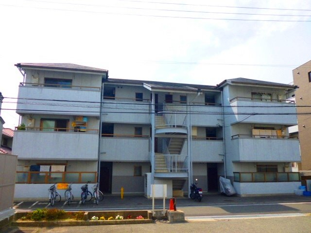 写真 写真