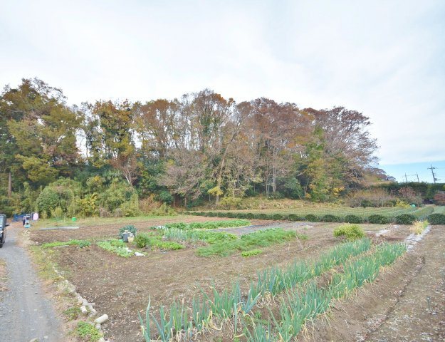 自然に囲まれたしずかな立地です