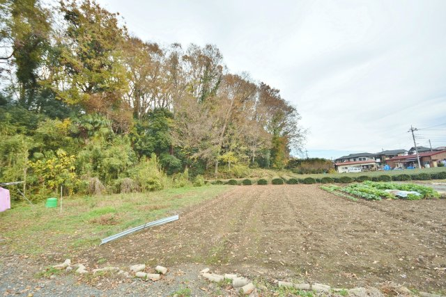 自然と開放感があります