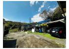 中郡大磯町生沢　敷地広々大型平屋住宅